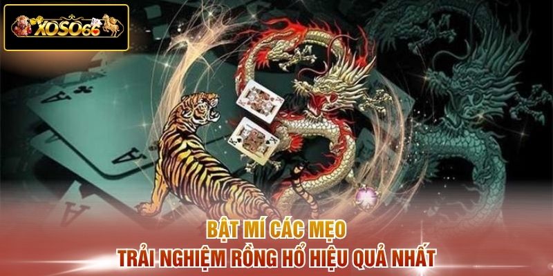 Bật mí các mẹo trải nghiệm Rồng Hổ hiệu quả nhất