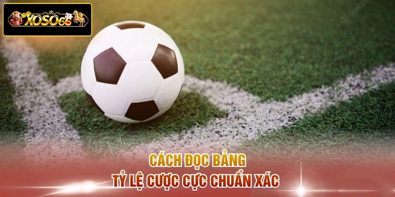 Cách đọc bảng tỷ lệ cược cực chuẩn xác