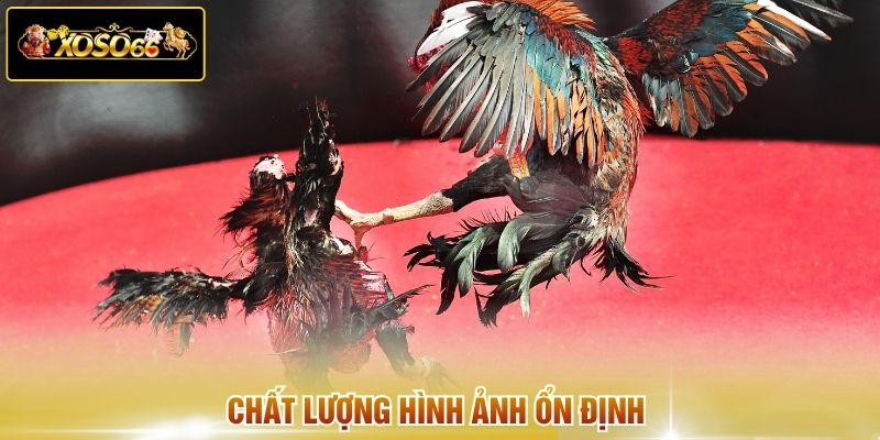 Chất lượng hình ảnh ổn định