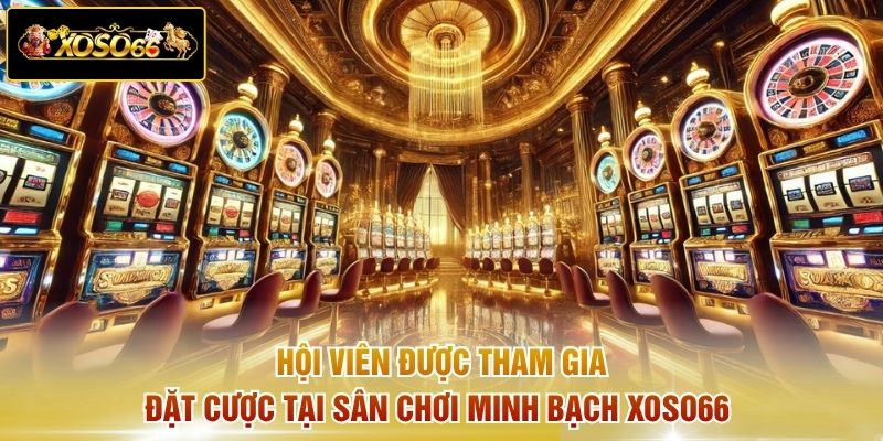 Hội viên được tham gia đặt cược tại sân chơi minh bạch xoso66
