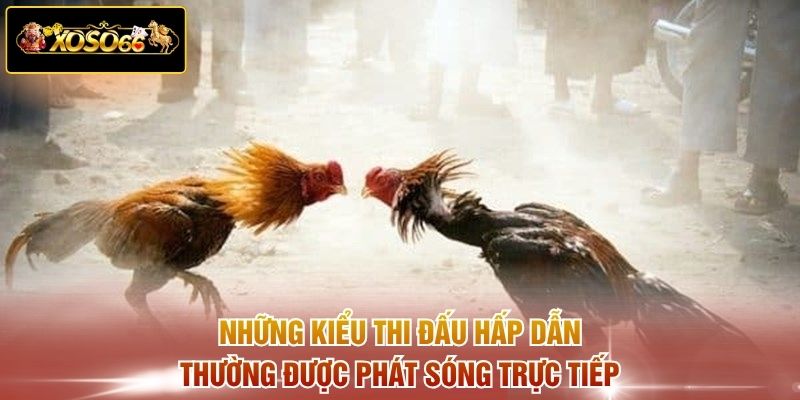 Những kiểu thi đấu hấp dẫn thường được phát sóng trực tiếp